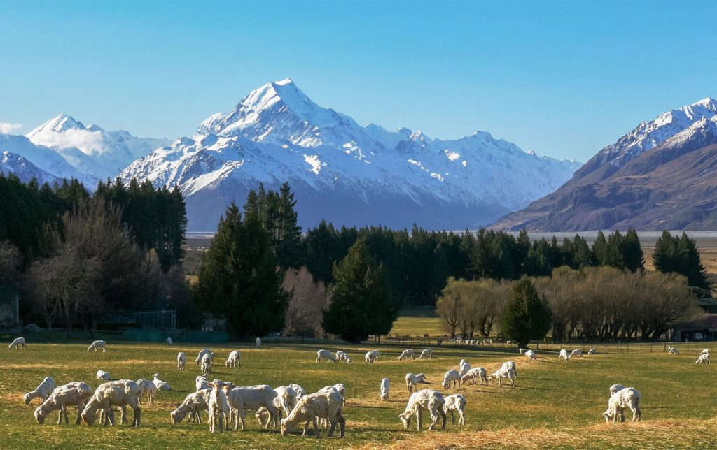 New Zealand