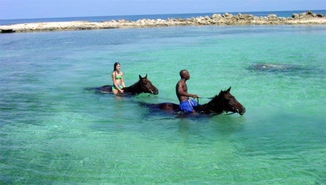 Swimming on horseback in Jamaica