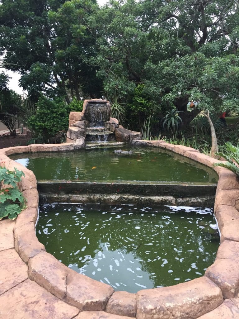 Fish Pond