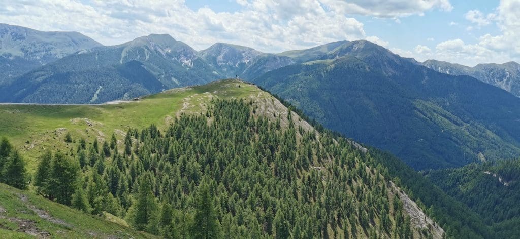 green trees on mountain under white clouds