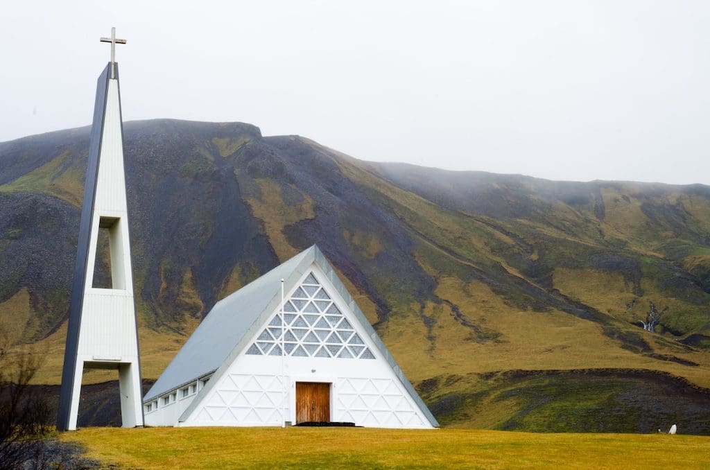 9. Icelandic horses