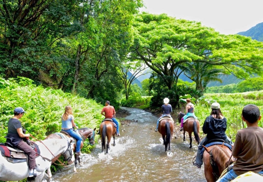 Horseback tour