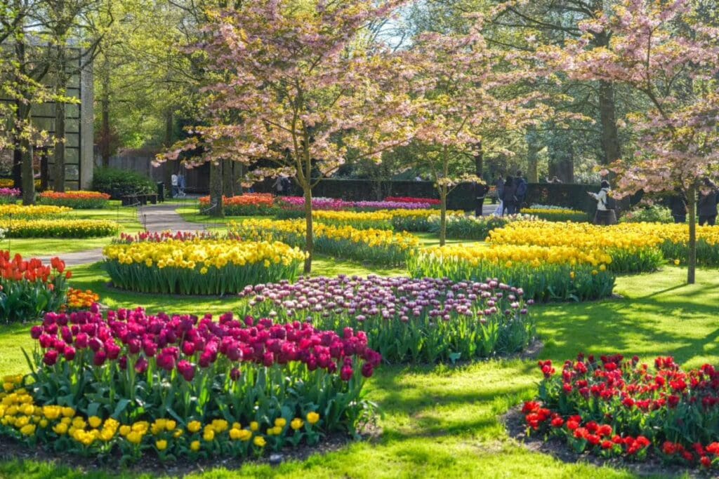 Tulip Time 2027